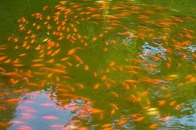 《百万吨武藏》首个免费更新上线 更新路线图发布