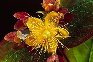 《完美音浪》5号免费更新正式上线 添加两个新模式